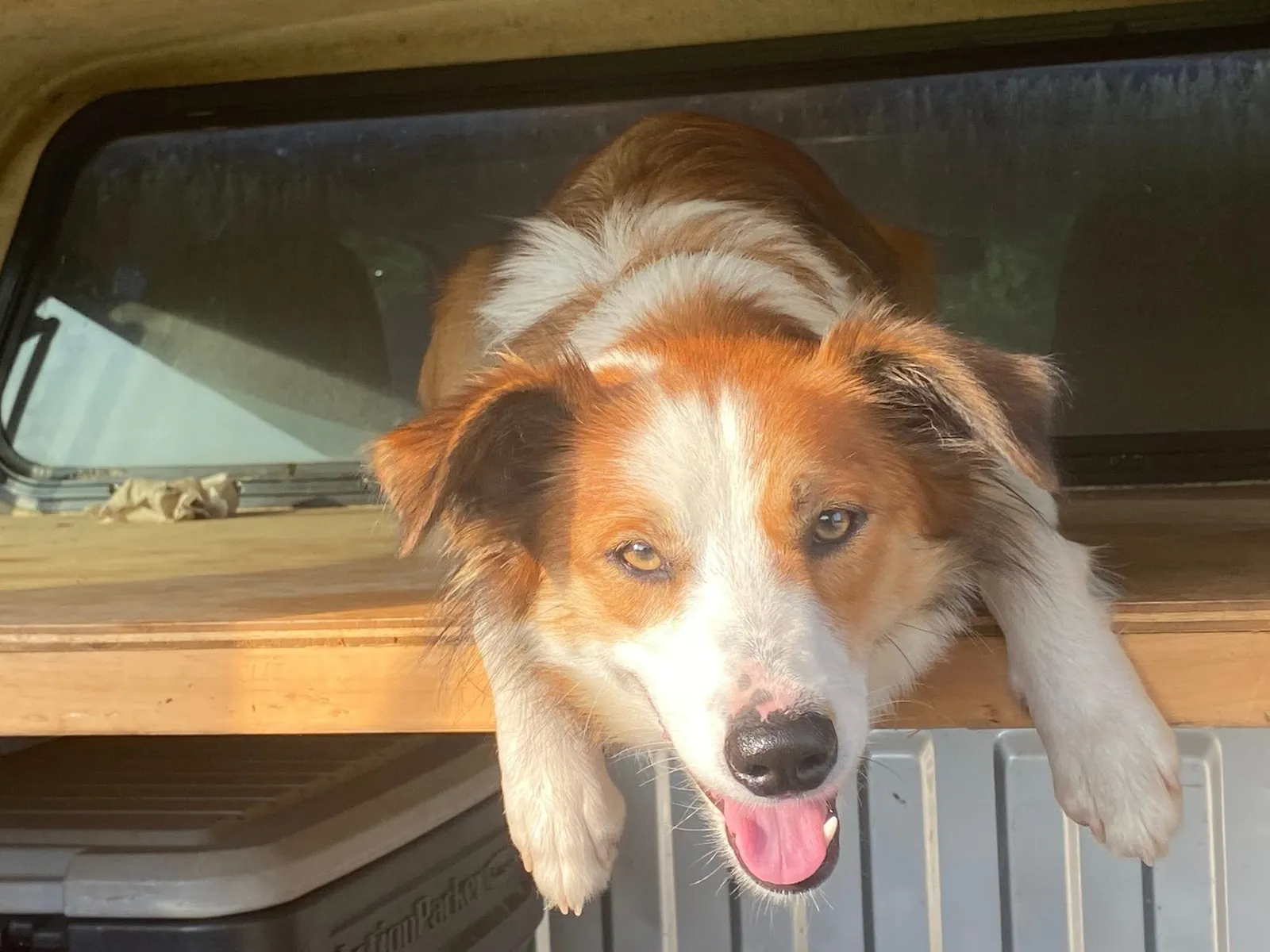 Delilah, Red and white