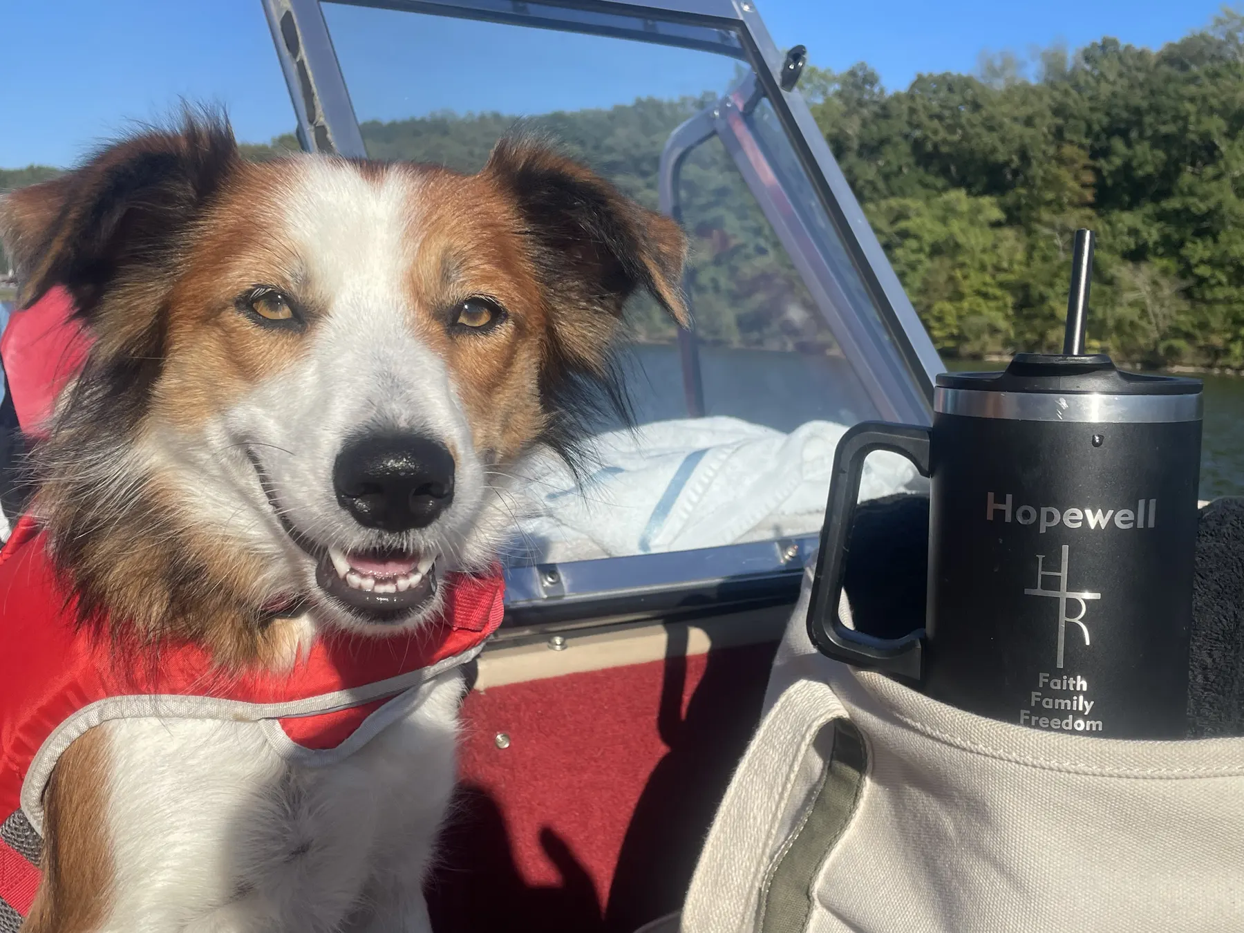 A smiling red and white Welsh Sheepdog in a life vest aboard the boat