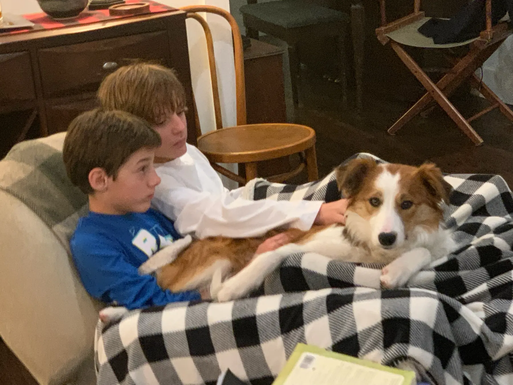 Two boys on the couch with a Welsh Sheepdog stretched across their laps under a check blanket